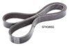 ASHIKA 112-5PK865 V-Ribbed Belts